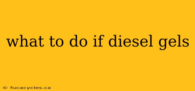 what to do if diesel gels