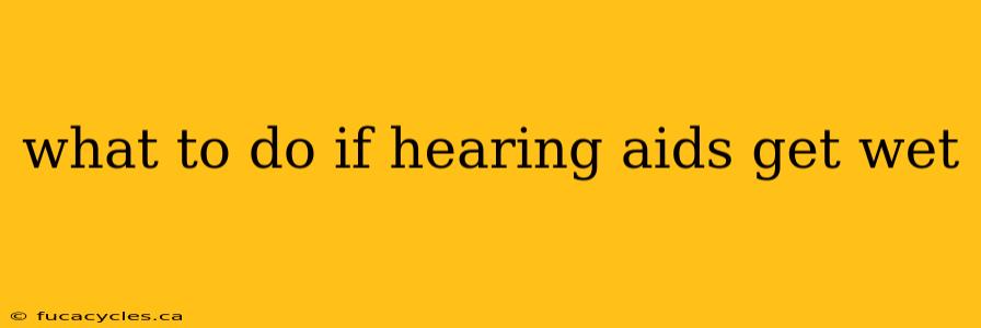 what to do if hearing aids get wet