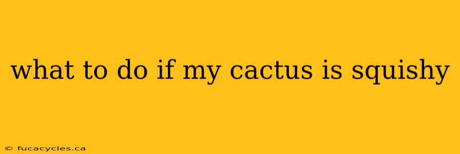 what to do if my cactus is squishy