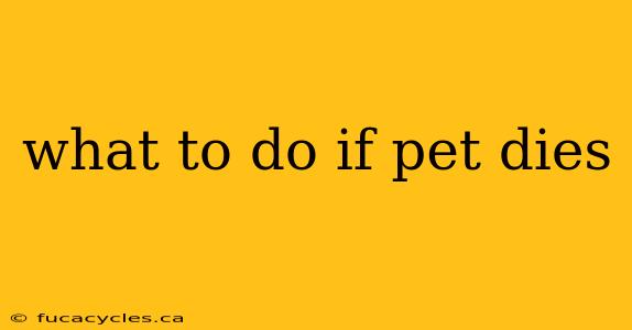 what to do if pet dies