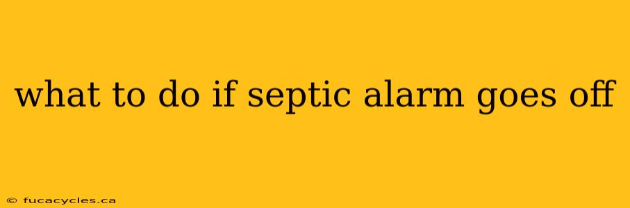 what to do if septic alarm goes off