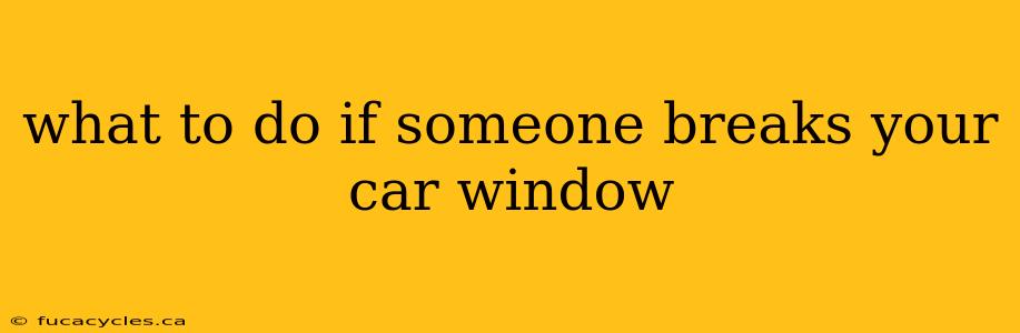 what to do if someone breaks your car window