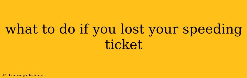 what to do if you lost your speeding ticket