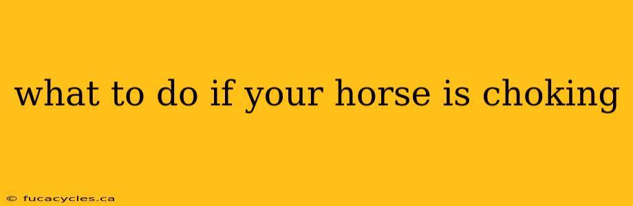 what to do if your horse is choking