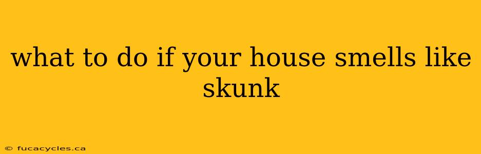 what to do if your house smells like skunk