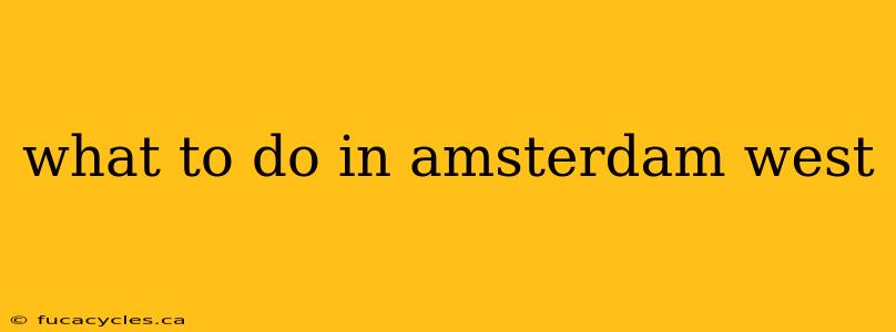 what to do in amsterdam west