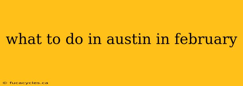 what to do in austin in february