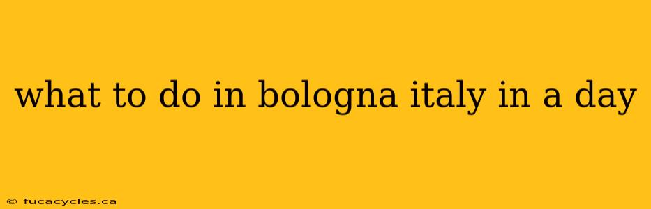 what to do in bologna italy in a day