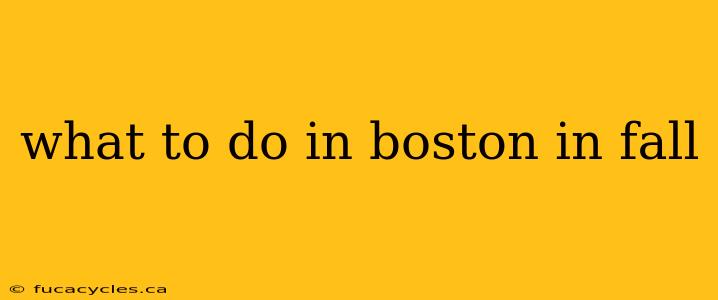 what to do in boston in fall