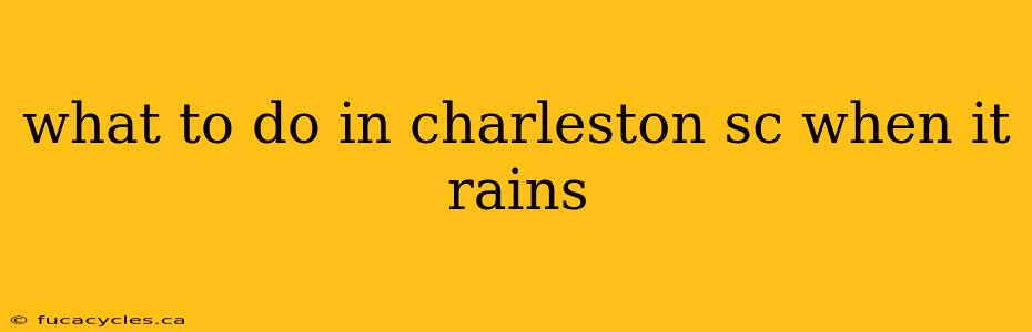 what to do in charleston sc when it rains