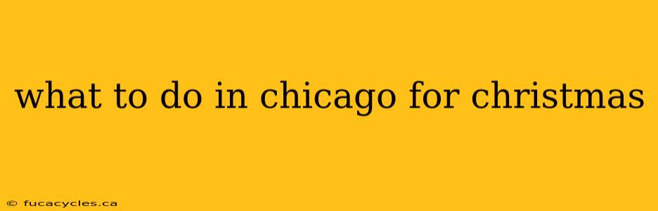 what to do in chicago for christmas