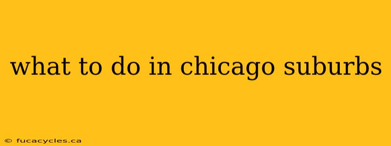 what to do in chicago suburbs