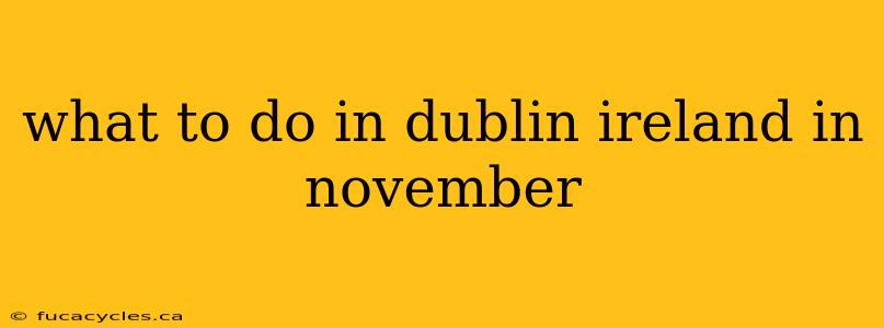 what to do in dublin ireland in november