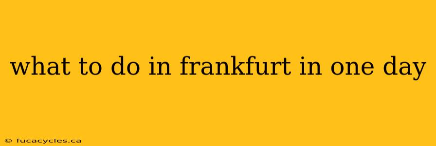 what to do in frankfurt in one day