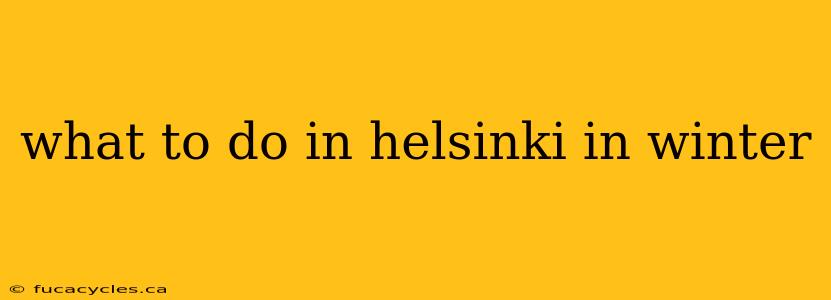 what to do in helsinki in winter