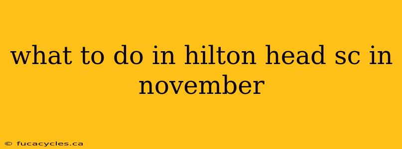 what to do in hilton head sc in november