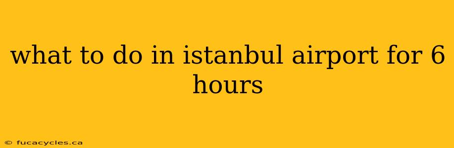 what to do in istanbul airport for 6 hours