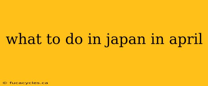 what to do in japan in april