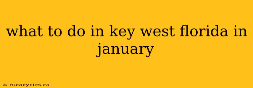 what to do in key west florida in january