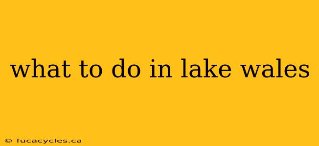 what to do in lake wales