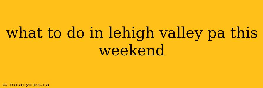 what to do in lehigh valley pa this weekend