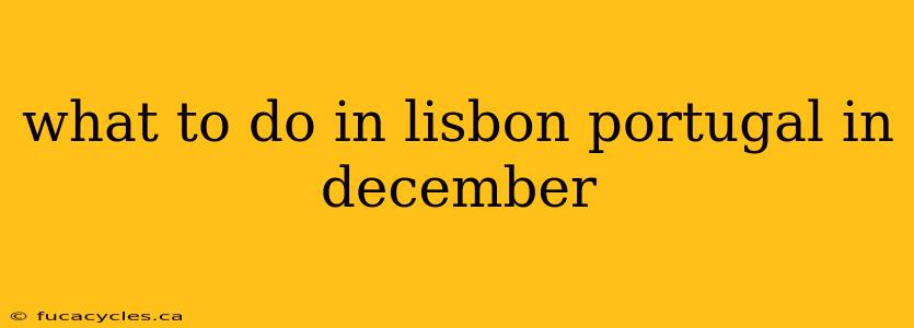 what to do in lisbon portugal in december