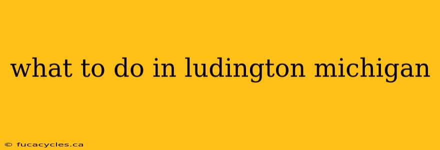 what to do in ludington michigan