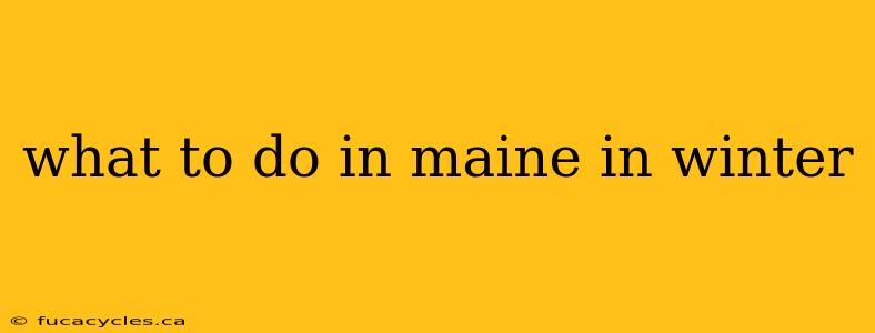 what to do in maine in winter