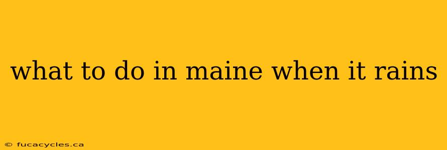 what to do in maine when it rains