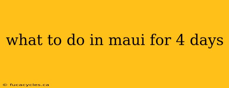 what to do in maui for 4 days