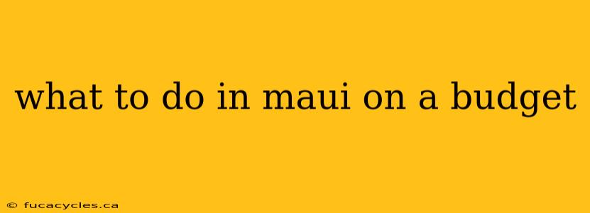 what to do in maui on a budget