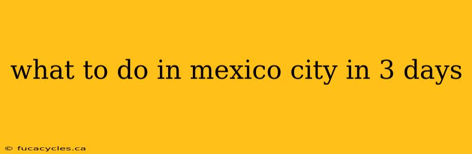 what to do in mexico city in 3 days