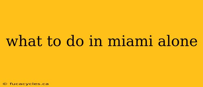 what to do in miami alone