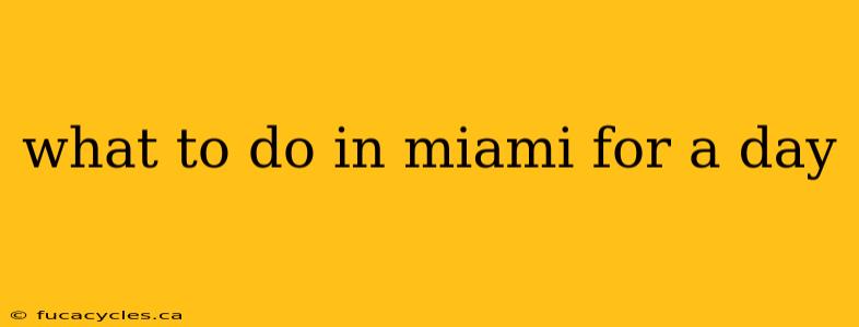 what to do in miami for a day