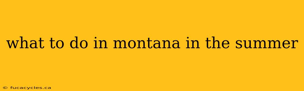 what to do in montana in the summer