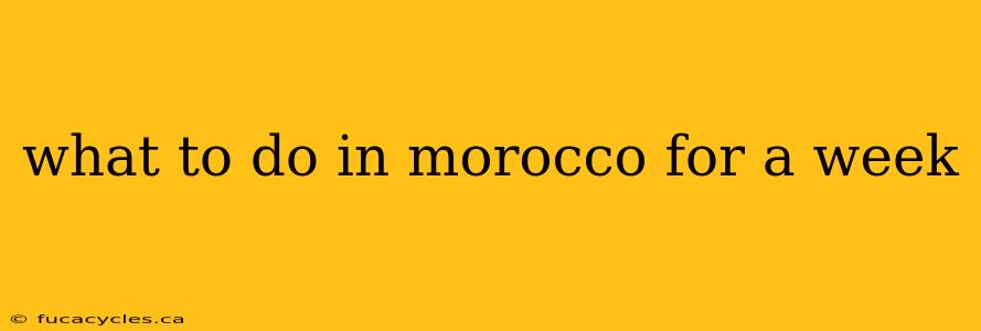 what to do in morocco for a week