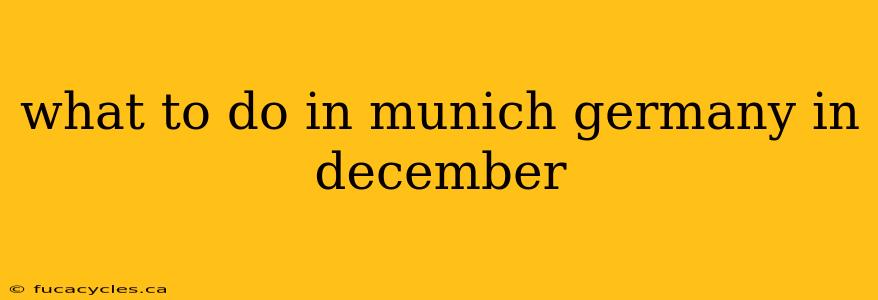 what to do in munich germany in december