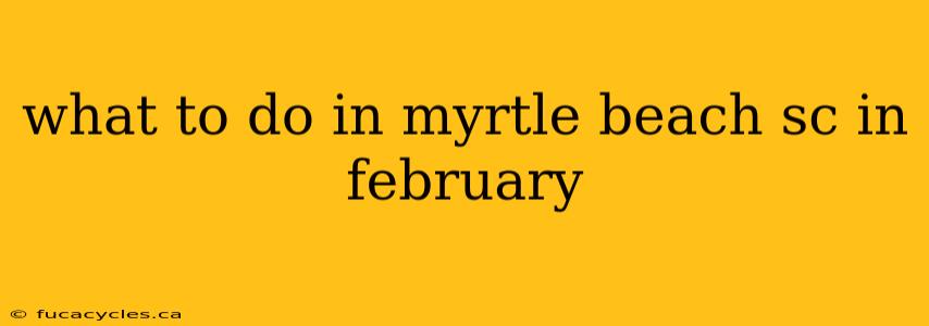 what to do in myrtle beach sc in february