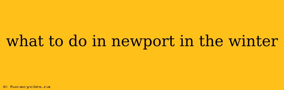 what to do in newport in the winter