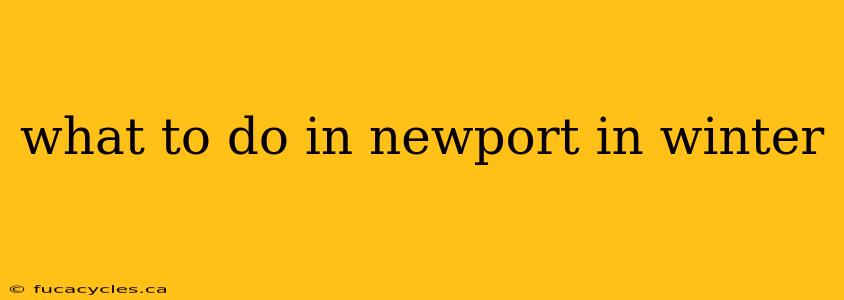 what to do in newport in winter