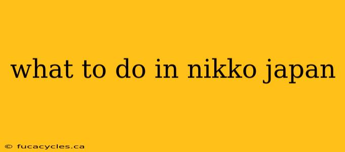 what to do in nikko japan