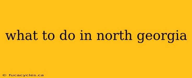 what to do in north georgia