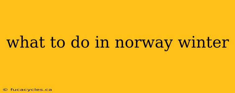 what to do in norway winter