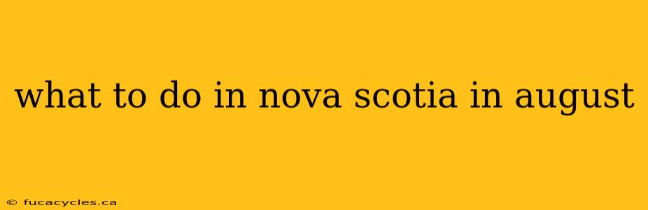 what to do in nova scotia in august