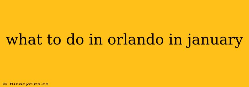 what to do in orlando in january