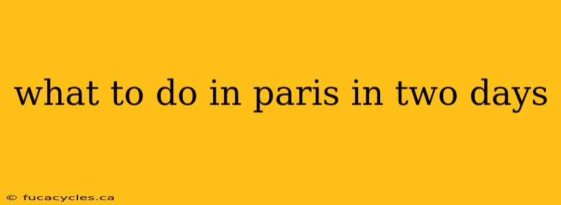 what to do in paris in two days