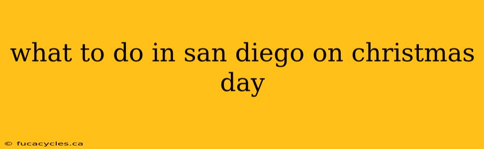 what to do in san diego on christmas day