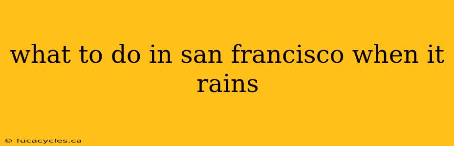 what to do in san francisco when it rains