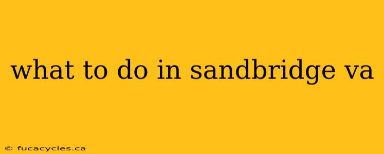 what to do in sandbridge va