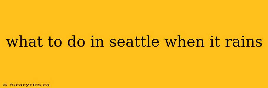 what to do in seattle when it rains